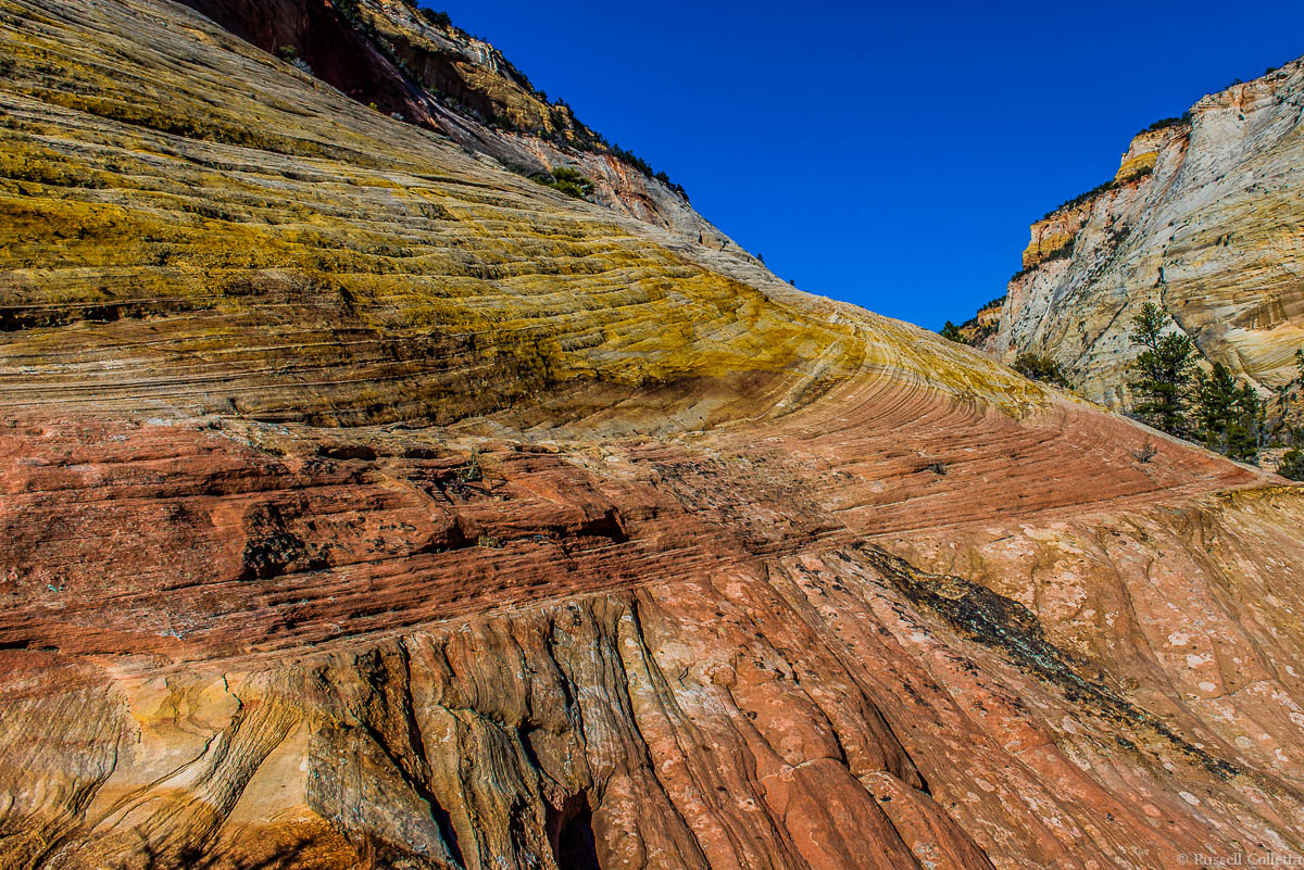 Lines in Zion