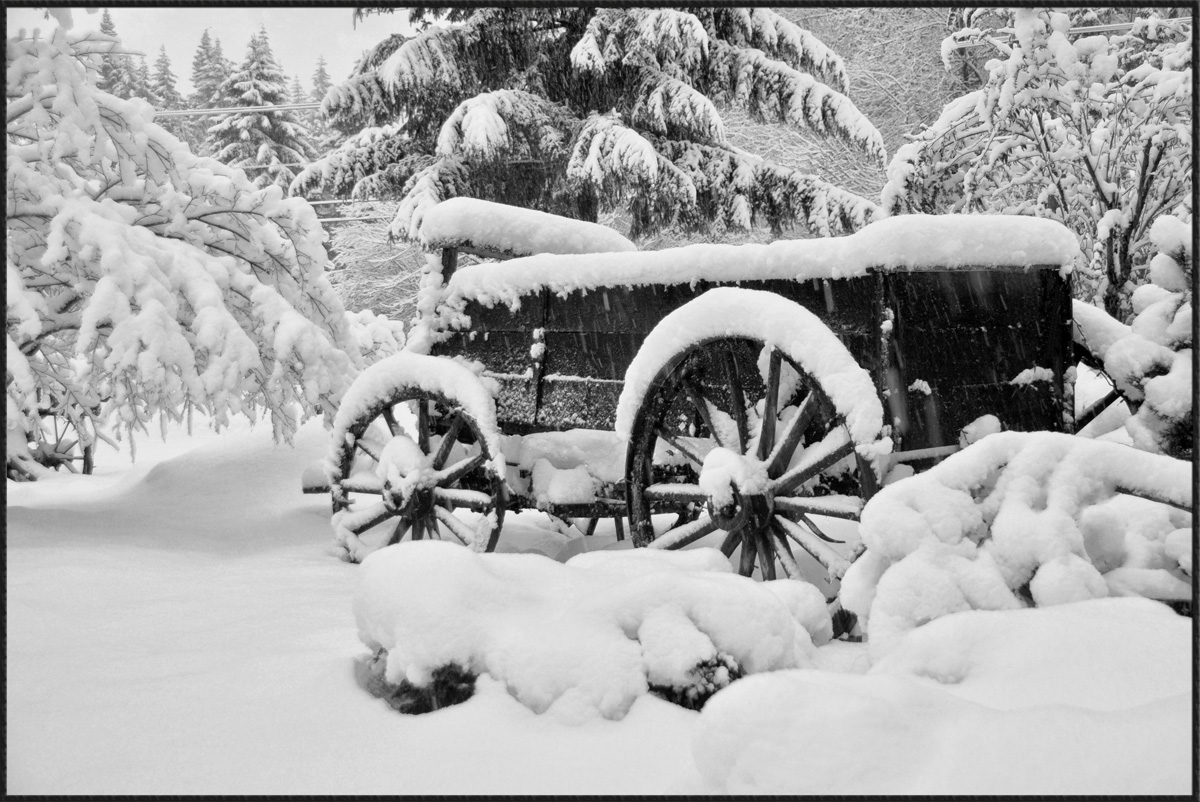 Old Wagon