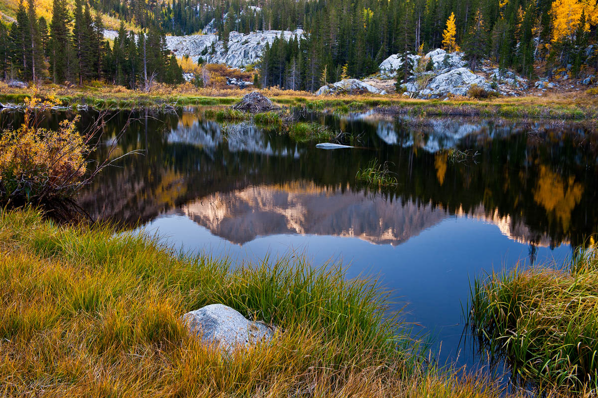 Beaver Lodge with a View