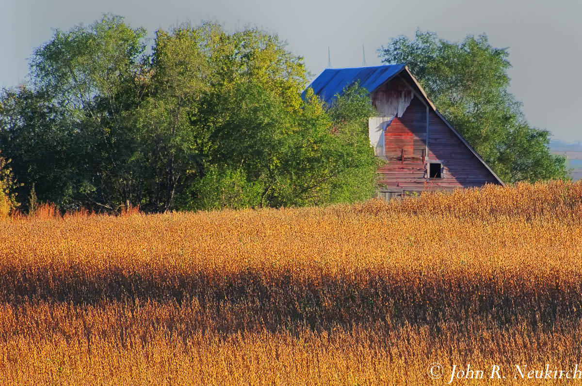 Harvest season