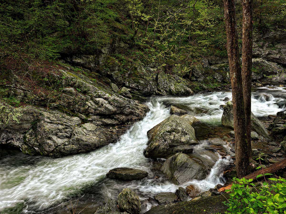 Little River, GSMNP