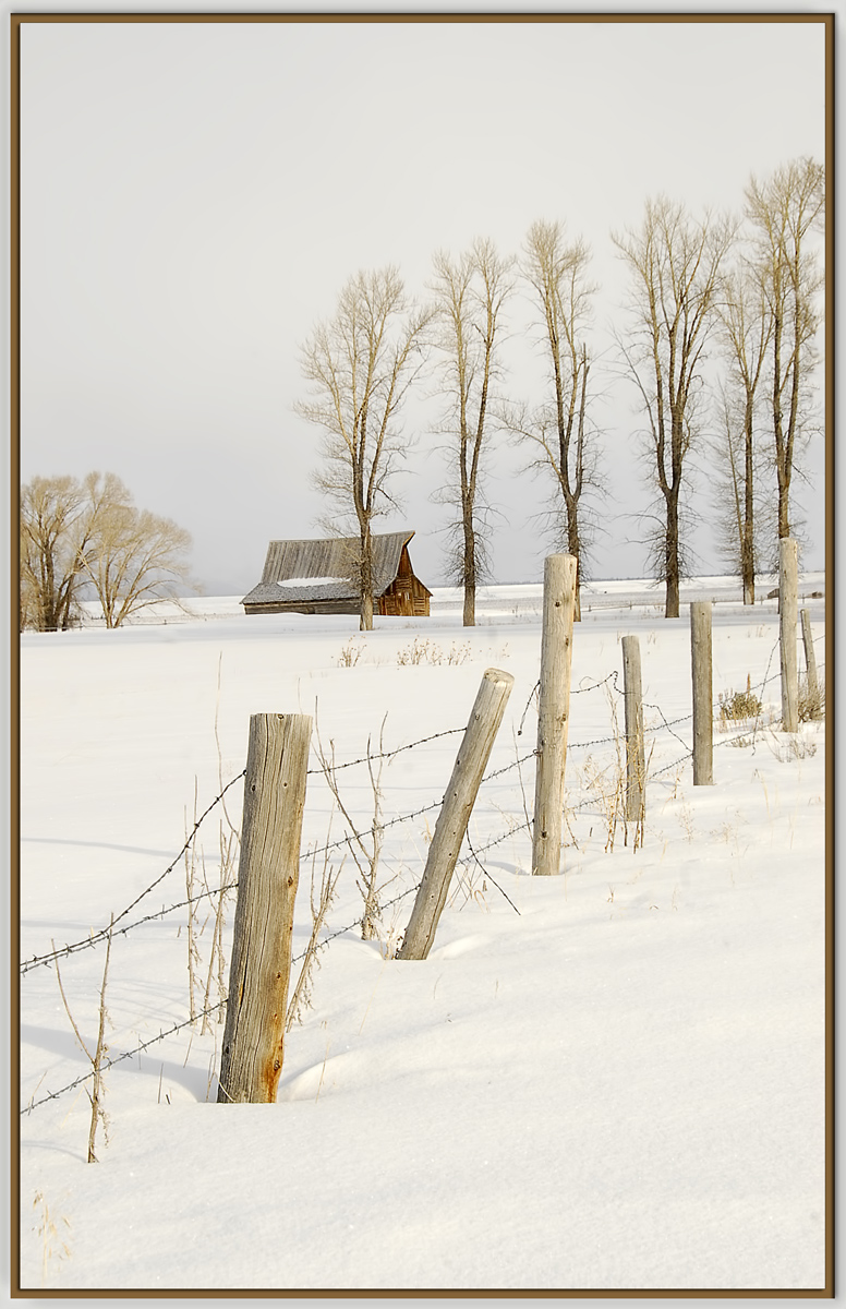 Old Barn 