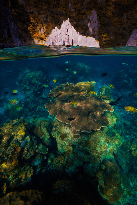 Lagoon Life