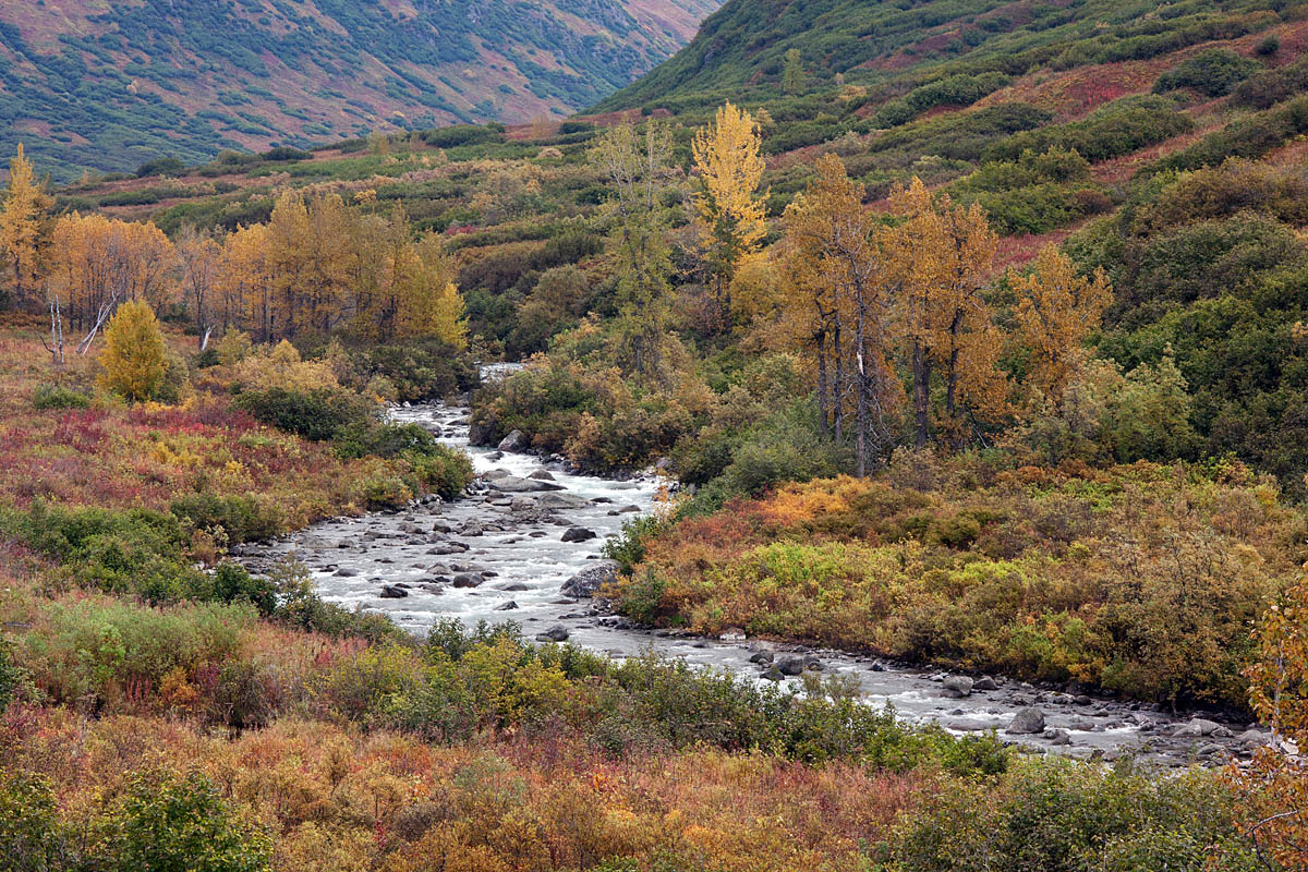Susitna Colors
