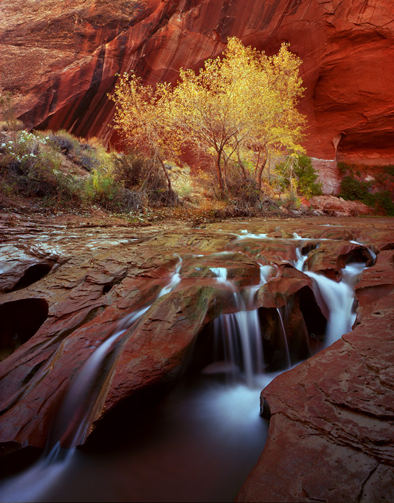 Coyote Gulch