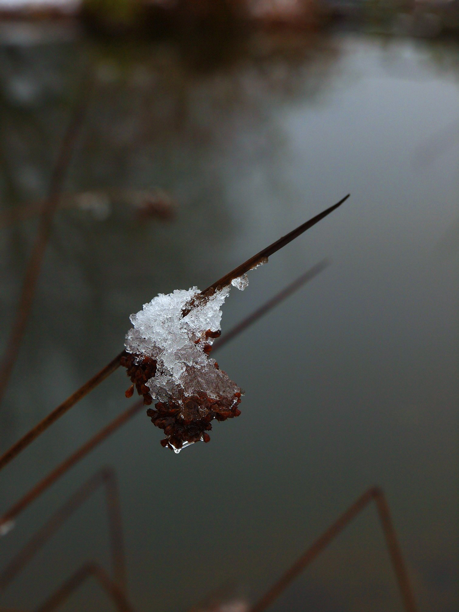 Something about winter