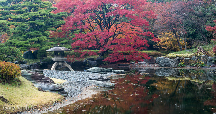 Koyo #4 