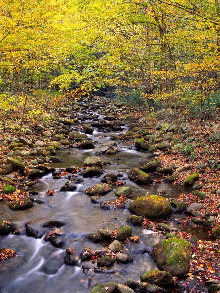 Roaring Fork III