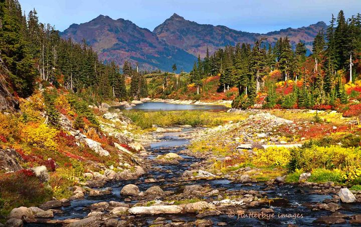 Heather Meadows, WA