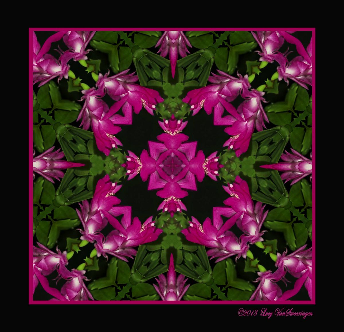Kaleidoscope Cactus