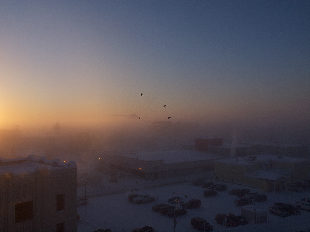 Pigeons and Ice Fog