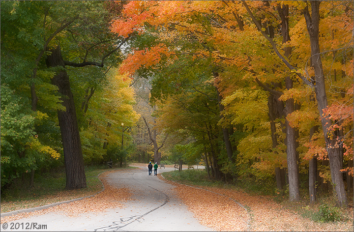 Autumn