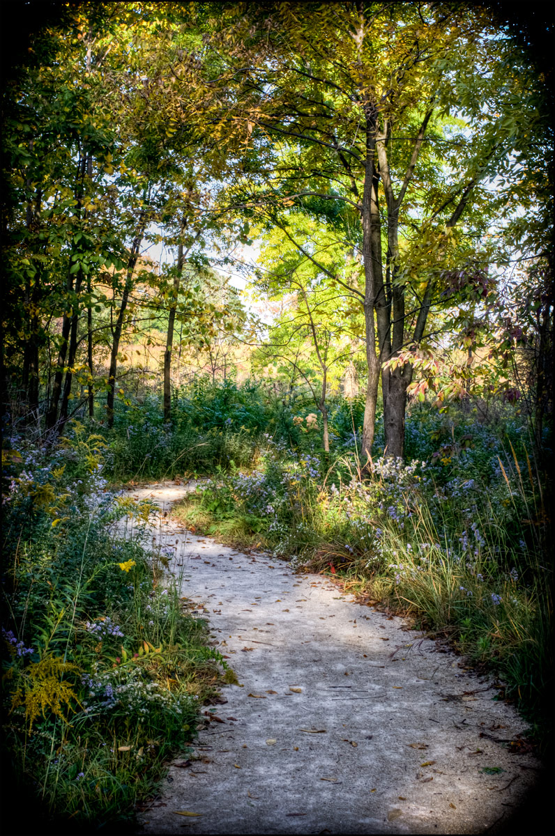 Storybook Path