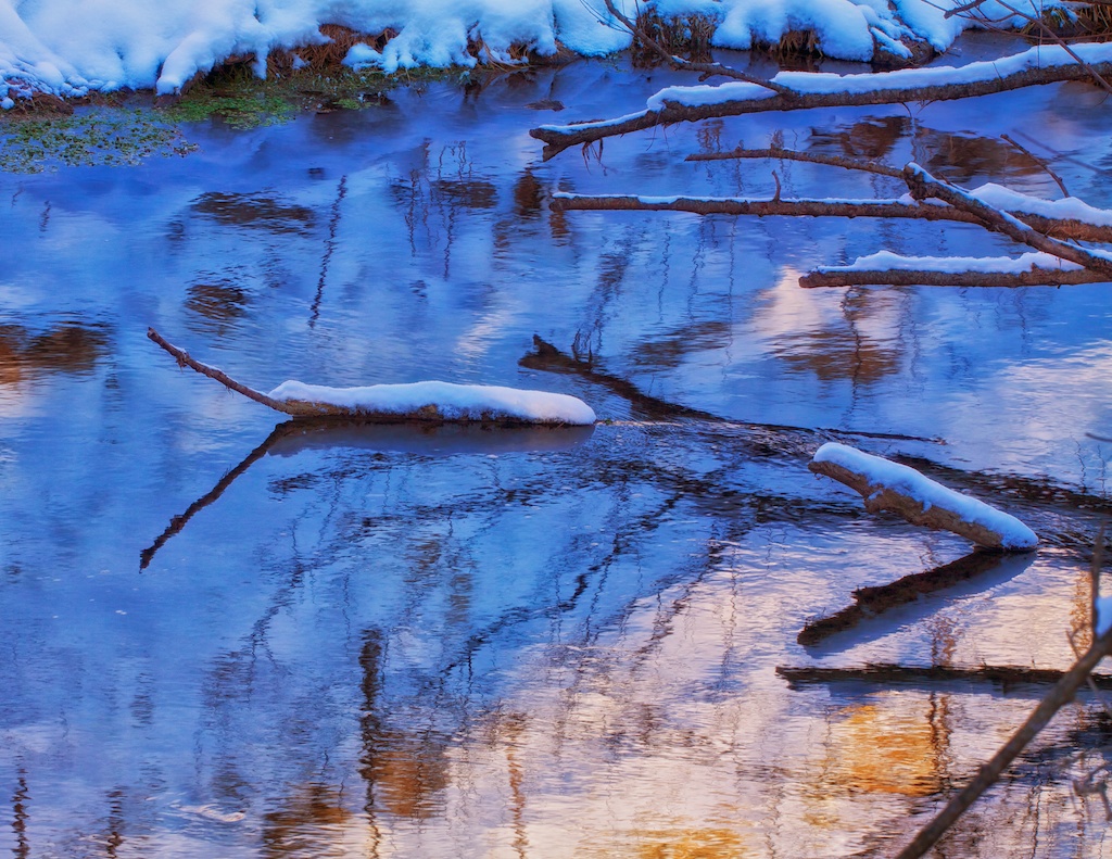 A trout stream in winter