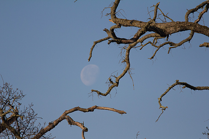 Measuring the Moon