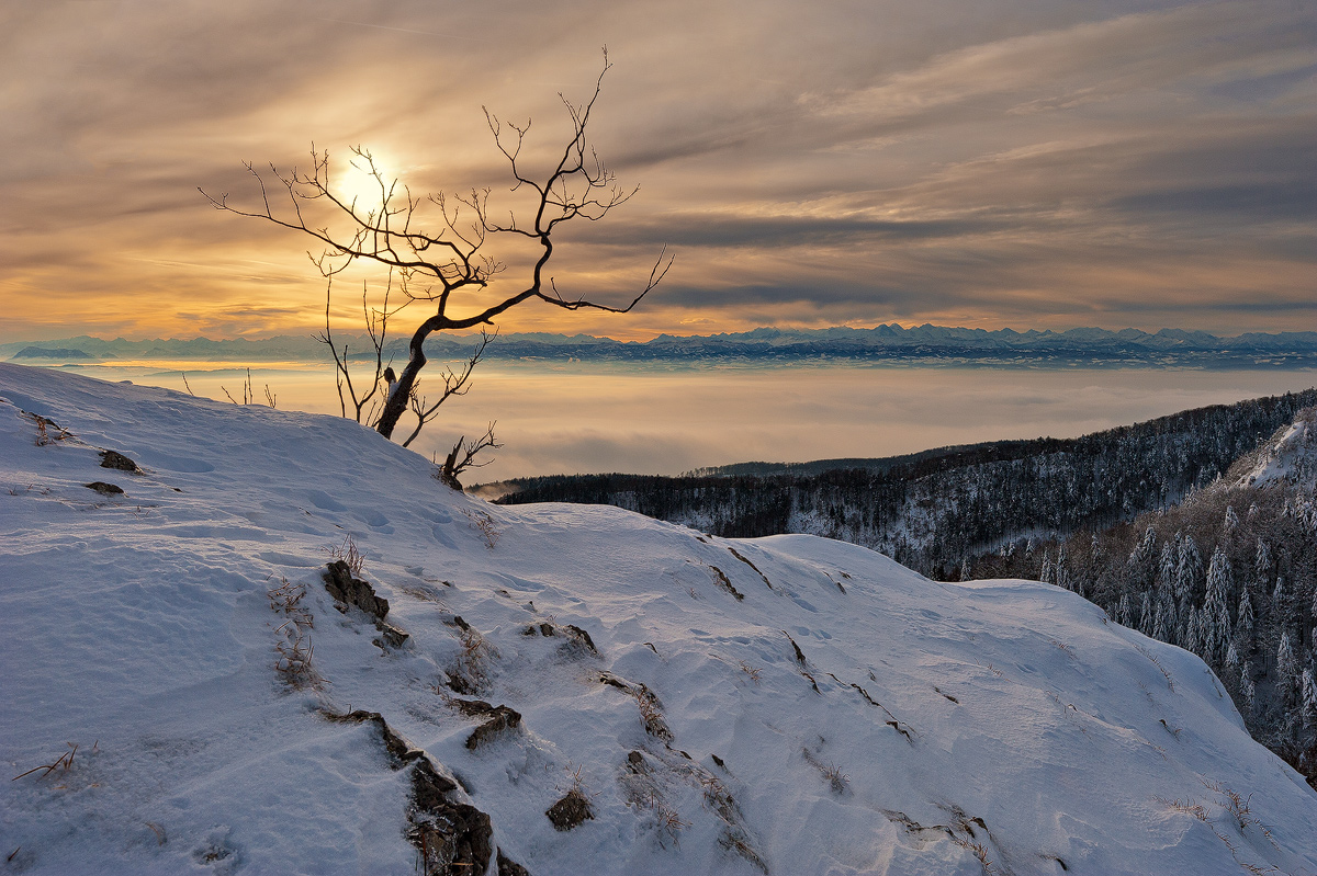 Winter Marvels