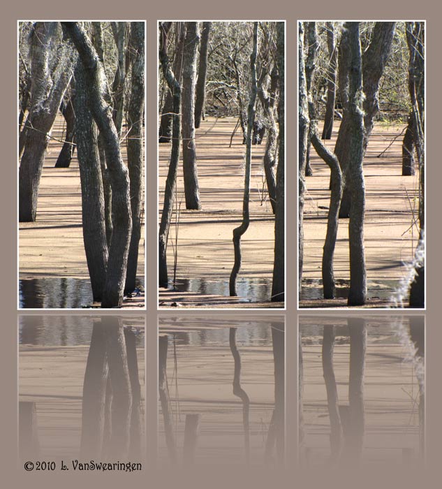 Triple Reflection