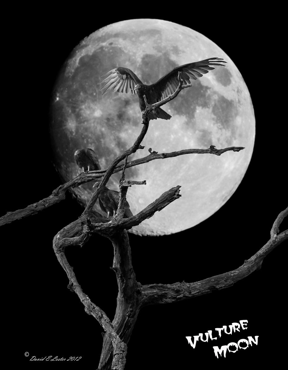 Vulture Moon