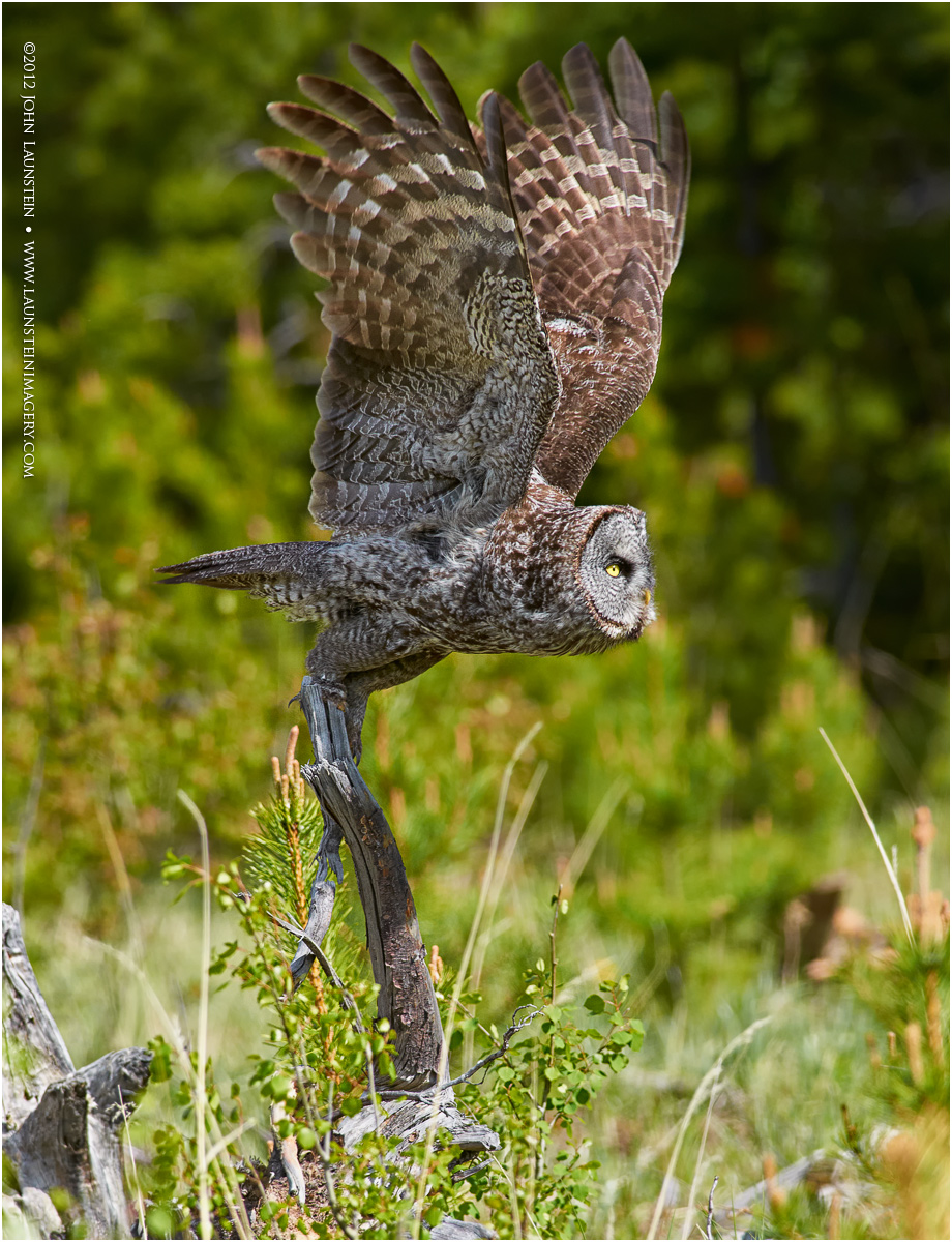 Lift-Off