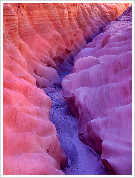 Slot Canyon Yin-Yang