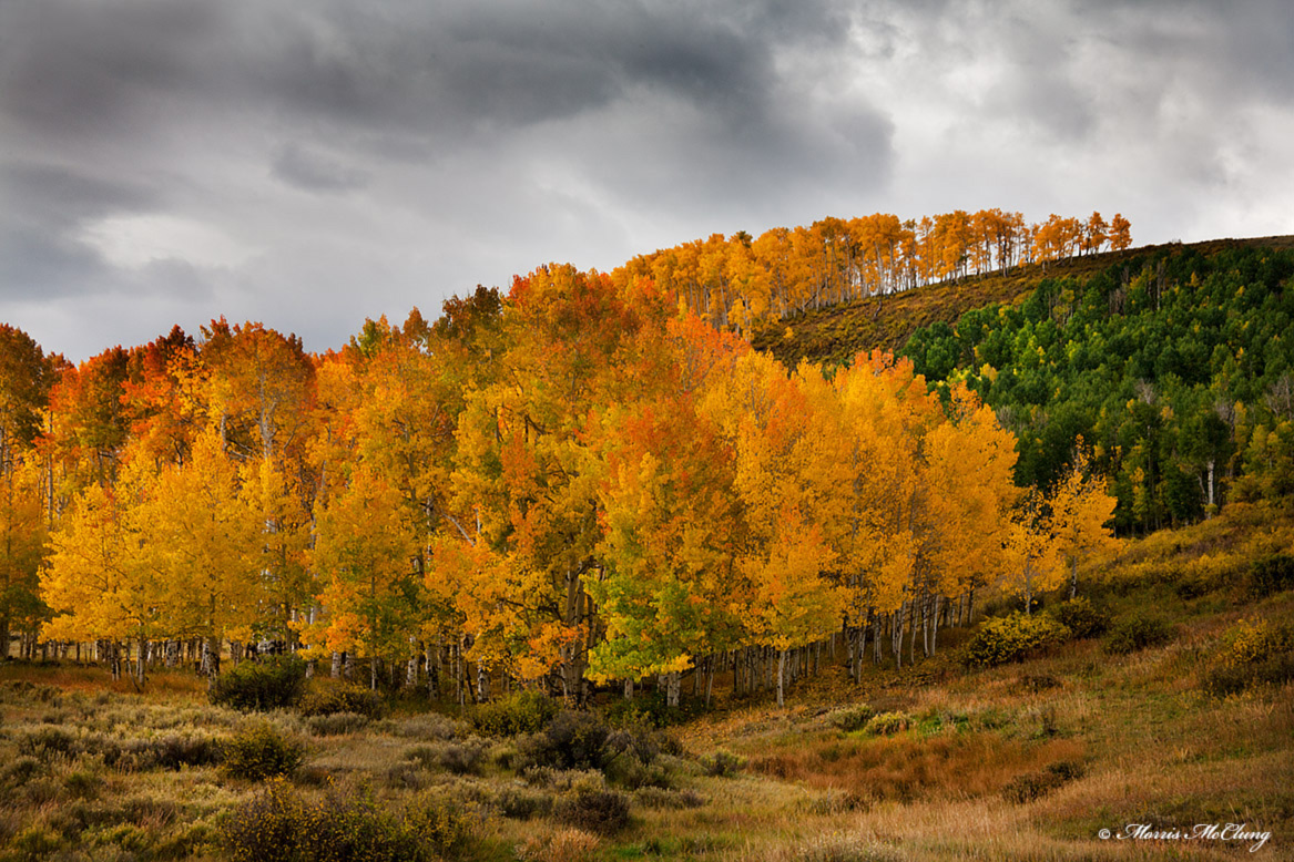 Autumn Adagio
