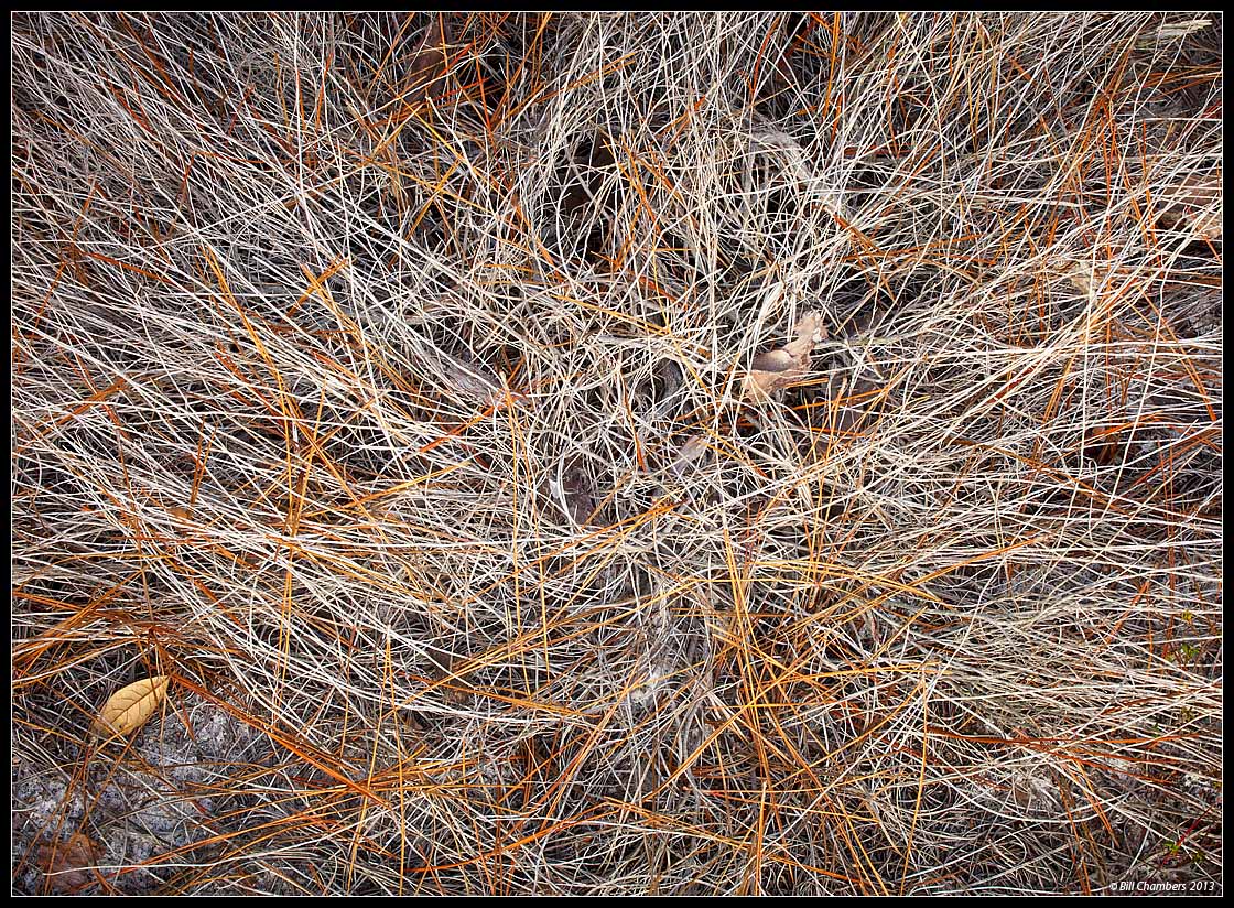 Grass & Pinestraw 