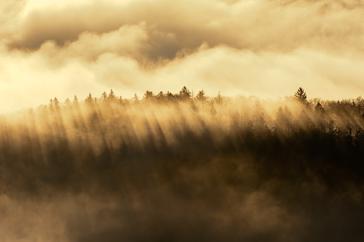 Backlit Ridge