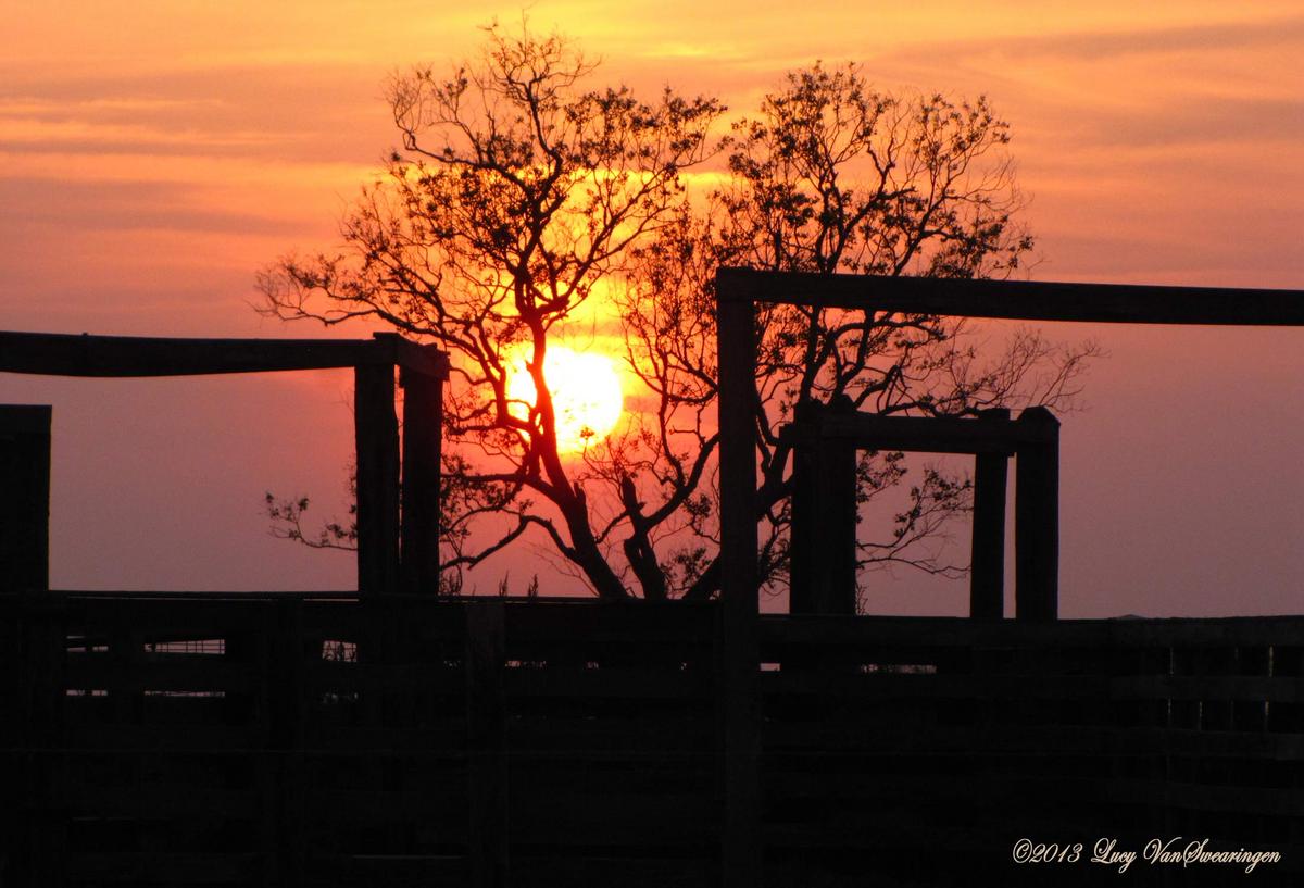 Stockyard Sunset