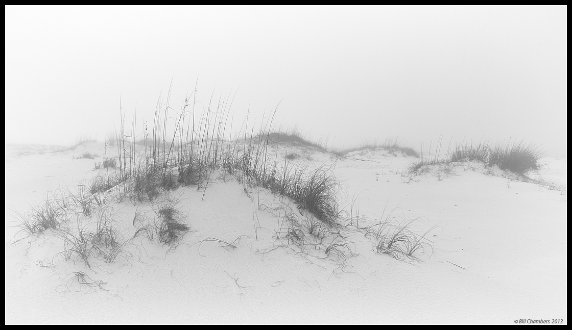 Filtered by Fog