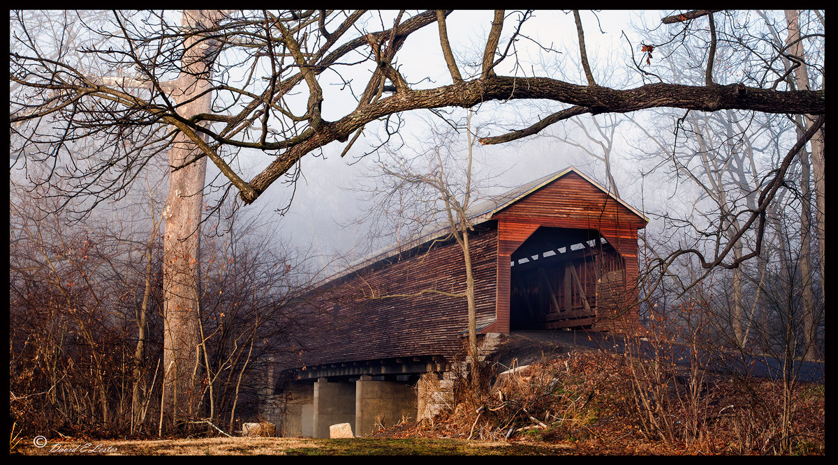 Foggy Bridge