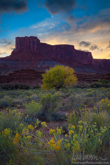 Canyon Gloaming