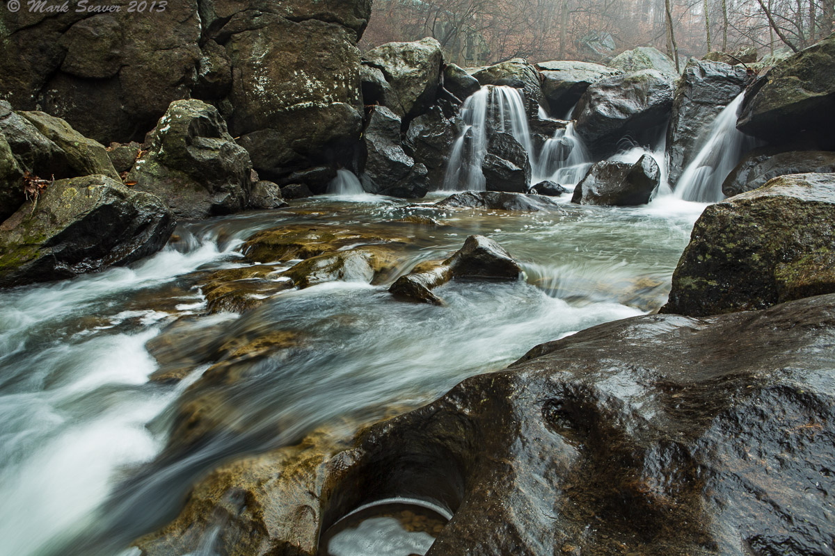 Foggy Gorge