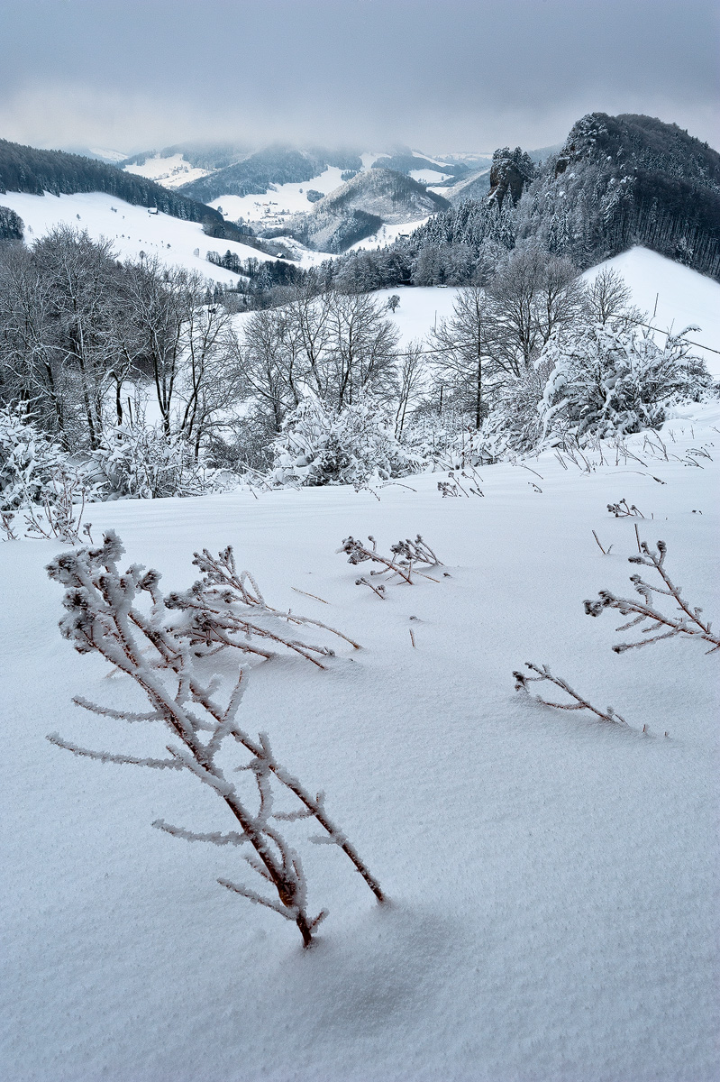 White Jura