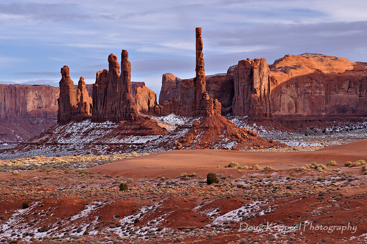 Navajo Totem