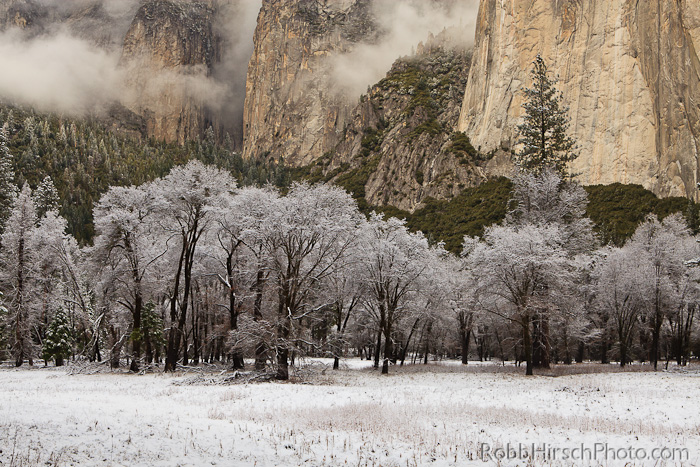First dusting