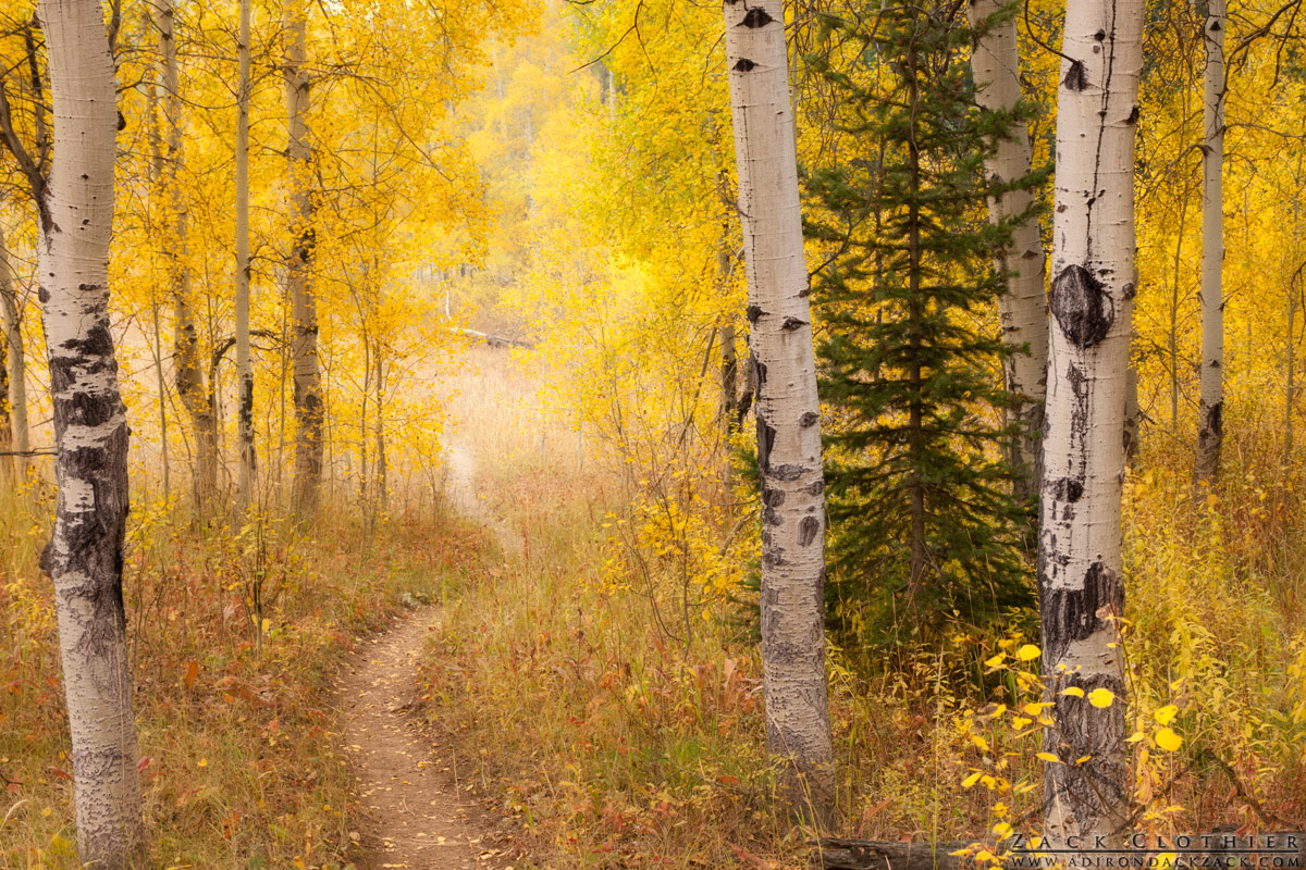 Autumn Passage