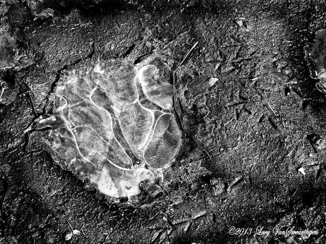 Ice Grafitti