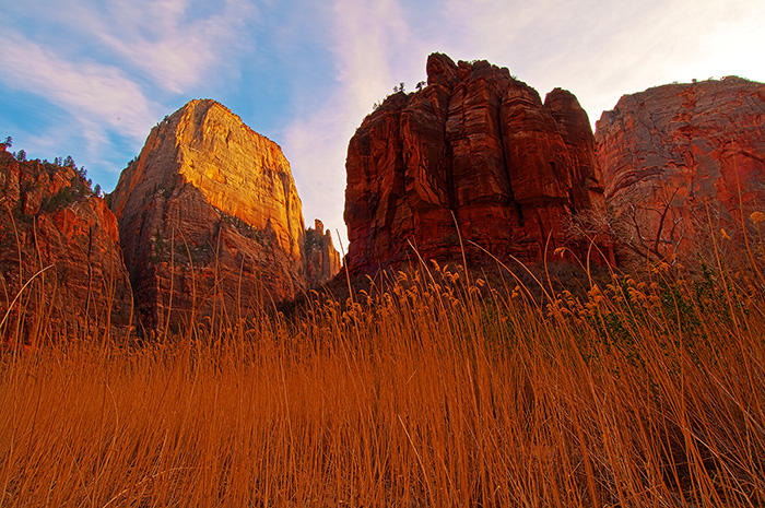 Zion Late Afternoon