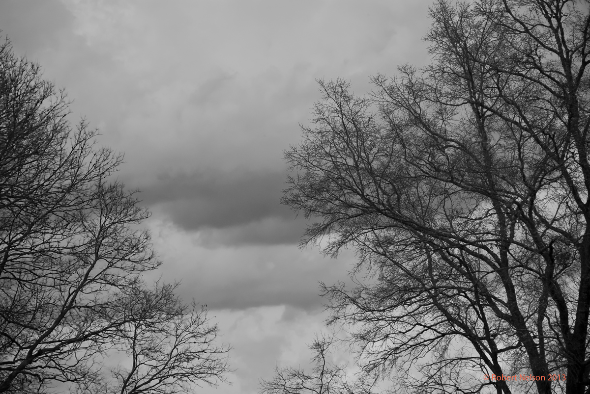 Winter sky