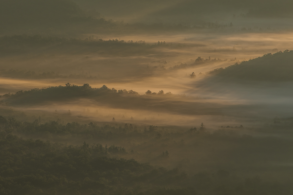 Fog in the Valley