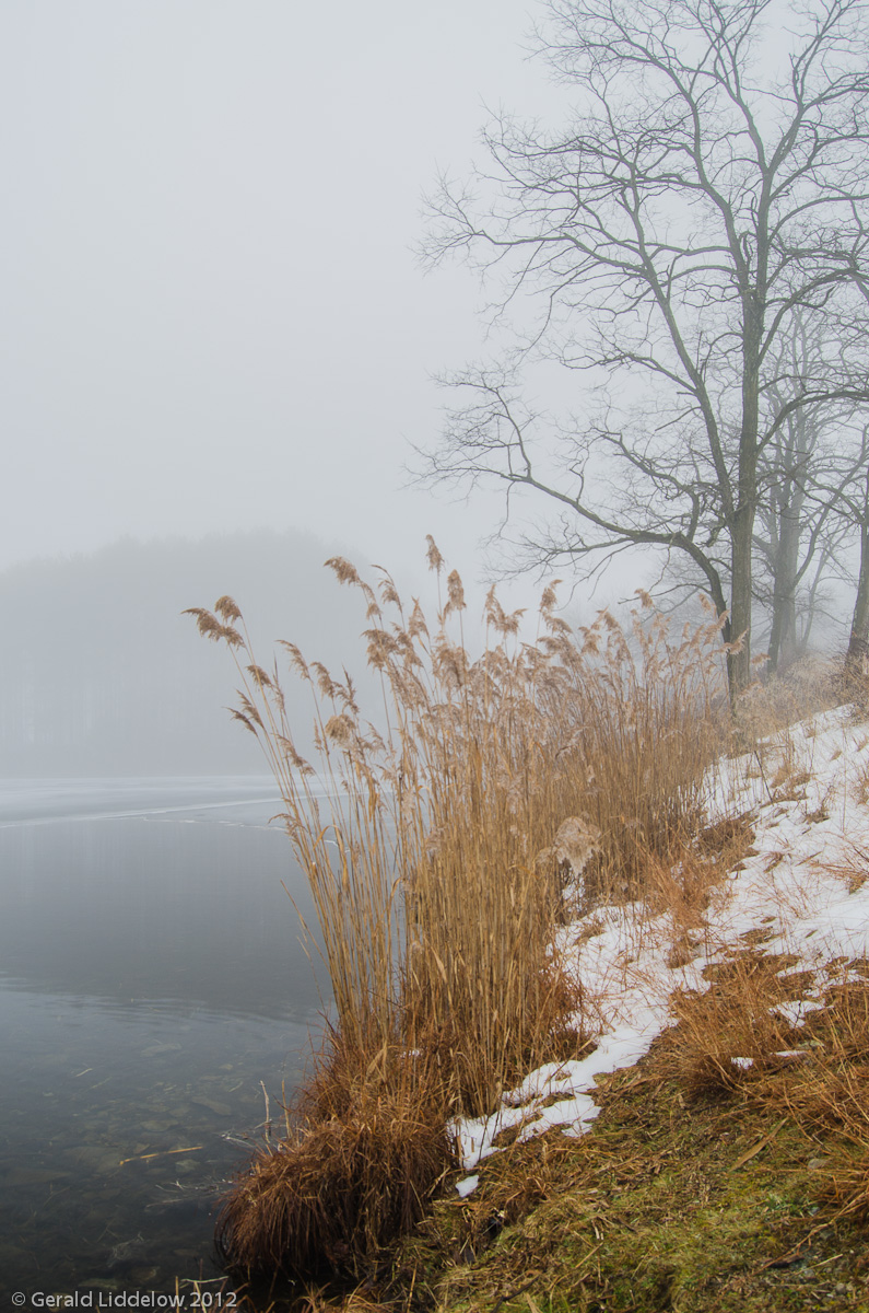 Foggy day in Harriman