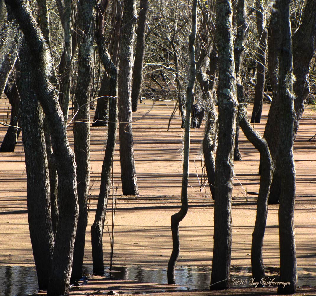 Shadowlands