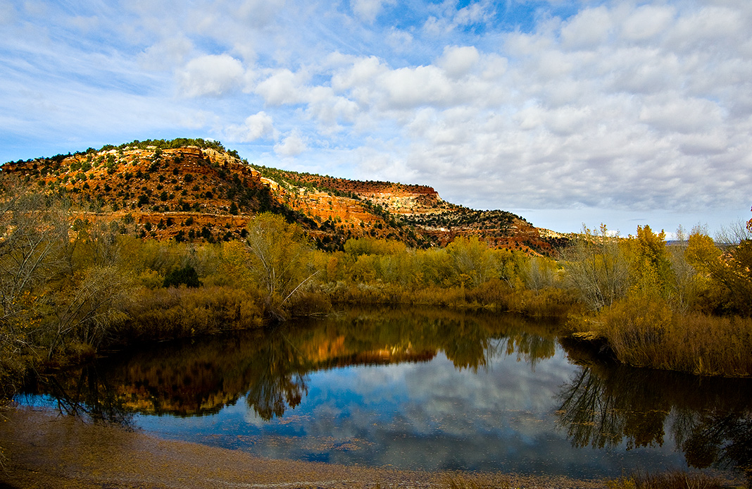 Kanab Creek Pond