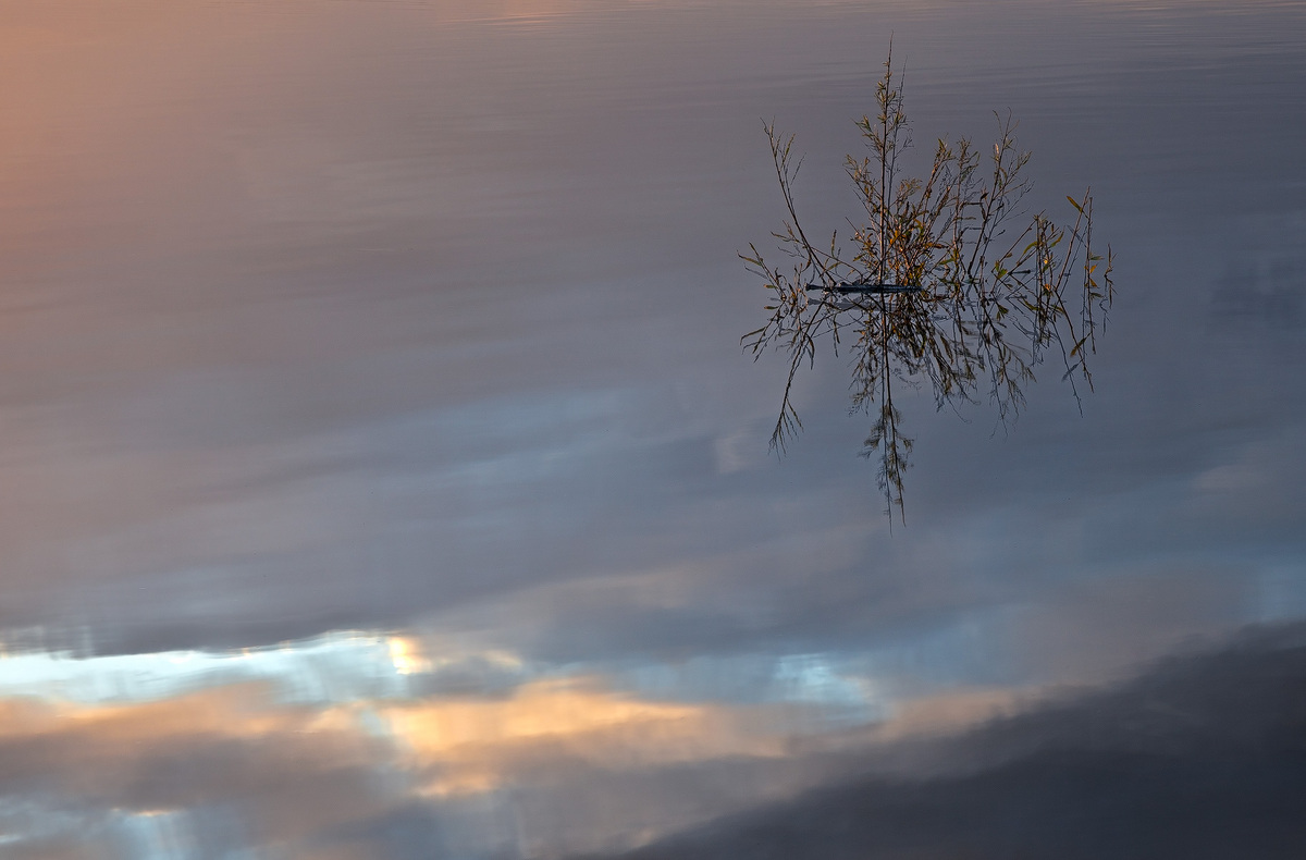 Reaching for the Light