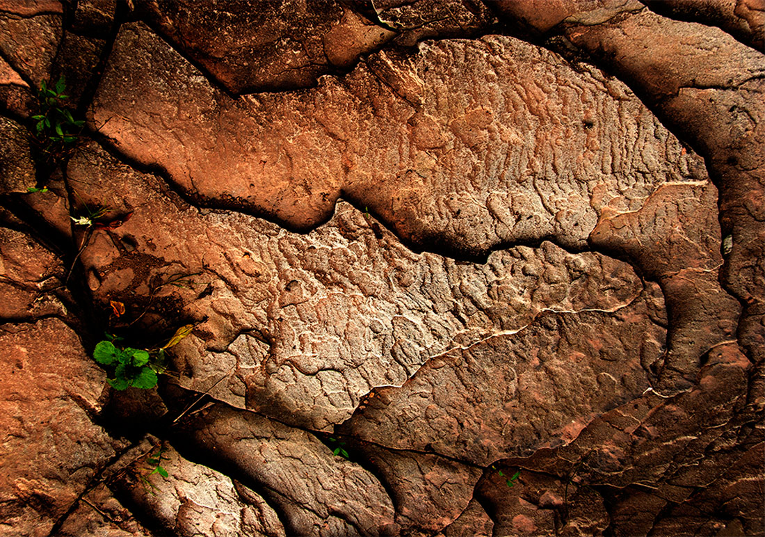 Earth Puzzle