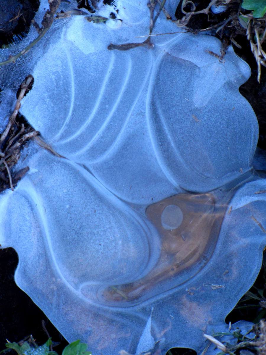 Blue Geisha