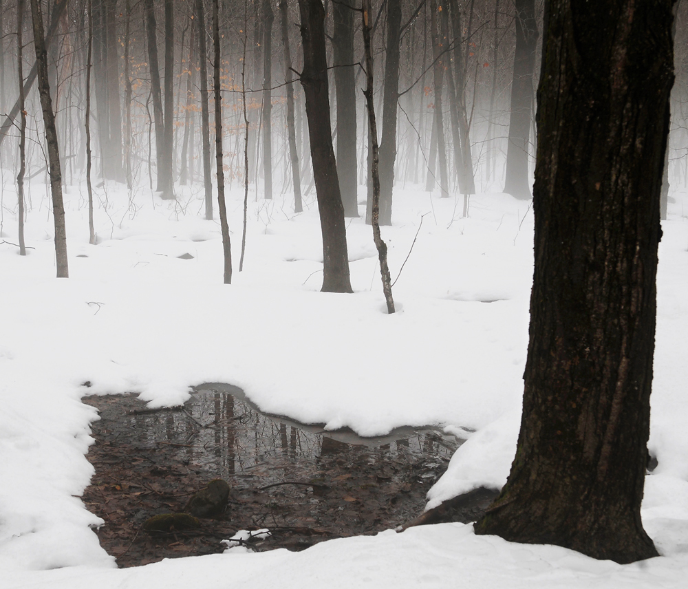 January Thaw