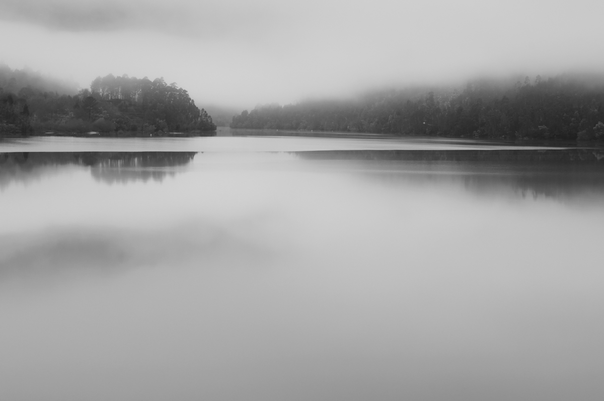wake