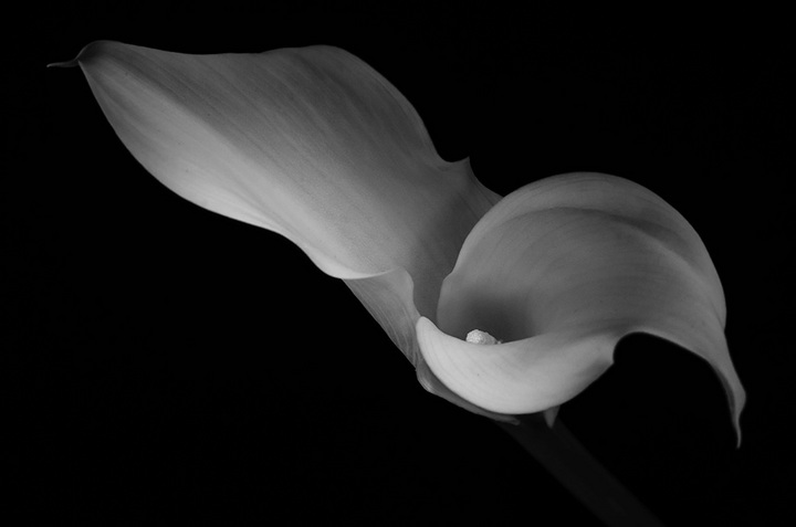 Repose