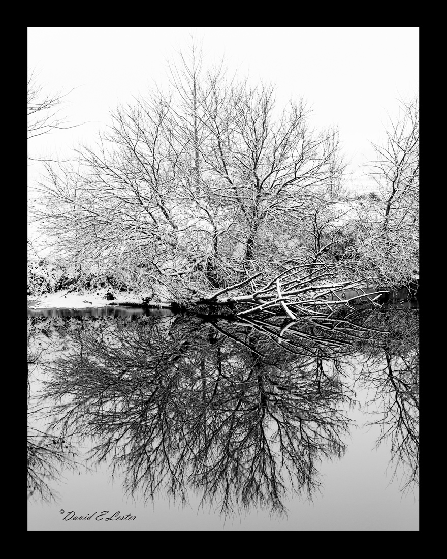 Winter Reflections 2